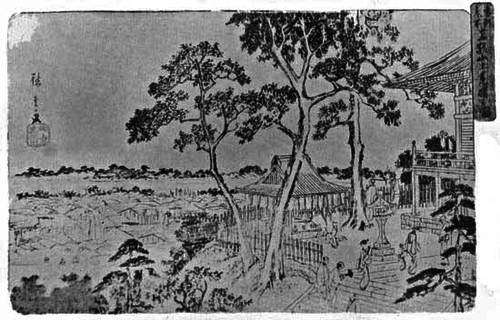 Plate XVI