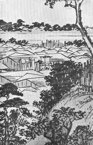 Plate XVIII