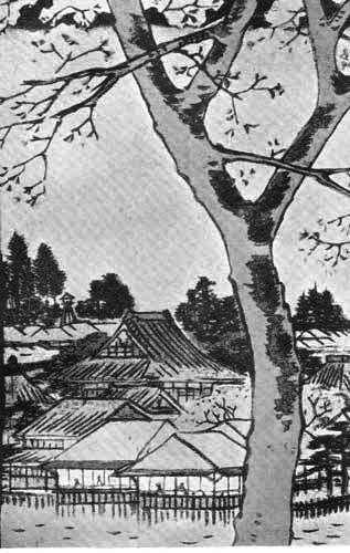 Plate XXII