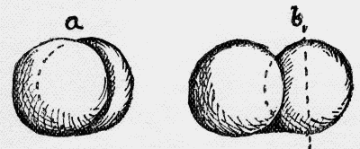 Fig. 72.
