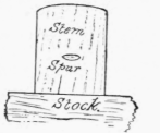Fig. 36.