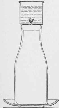 How to keep a milk bottle cool
