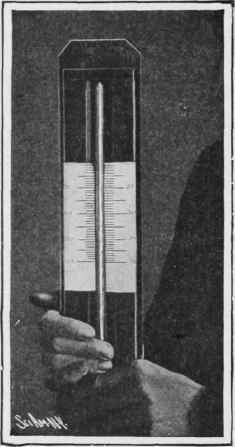 The scale in place