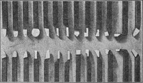 Fig. 371. Set of Planer Tools Ground on Sellers' Tool Grinding Machine Courtesy of 