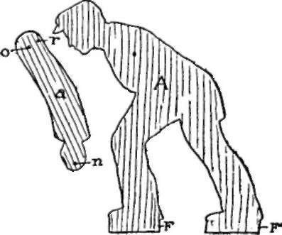 Arm And Body Pattern