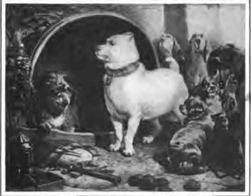 Alexander and Diogenes. Landseer