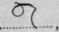 Double Circle Following The In Curl 860