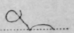 Double Circle Following The In Curl 861