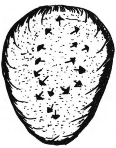 Wave vector readings of skull when a person is not aligned