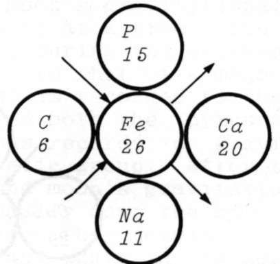 MAGNETIC GROUP DURING MAJOR AND MINOR PERIODS