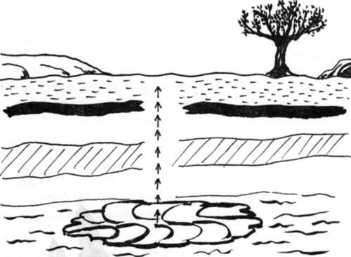Concept of underground water Vivaxis