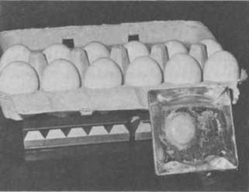 egg broken out of its shell and left within the confines of the pyramid