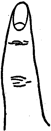 The Pointed Finger.