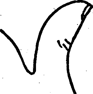 The Supple Jointed Thumb.