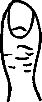 The Waist Like Thumb.