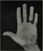 DISTINGUISHING MARKS ON THE MOUNT OF MOON