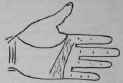 III Signs 941