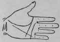 III The First Or Upper Or Supreme Angle 971
