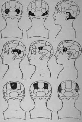 Phrenology And Palmistry Compared