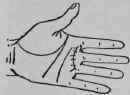 The Girdle Of Venus VI Signs 729