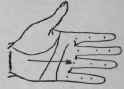 The Line Of The Sun VII Signs 919