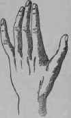 XIV The Woman s Hand 41