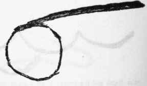 No. 11. Reproduction.
