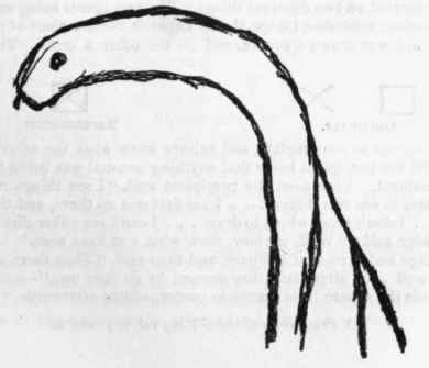 No. 16. Reproduction.