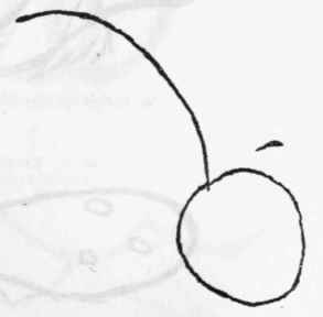No. 4. Reproduction.