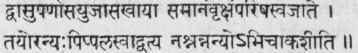 Rig Veda 1st Mandala 22nd Anuvaka.