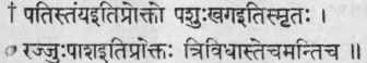 The Sutras 461