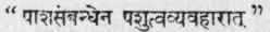 The Sutras 463