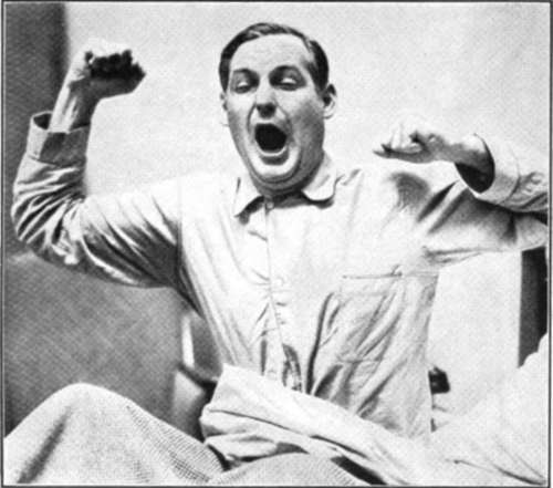 A Good Sleep And A Good Yawning Stretch Put New Life Into Most Of Us