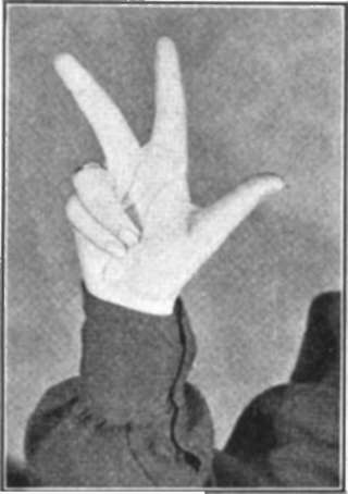 A Hand Puppet