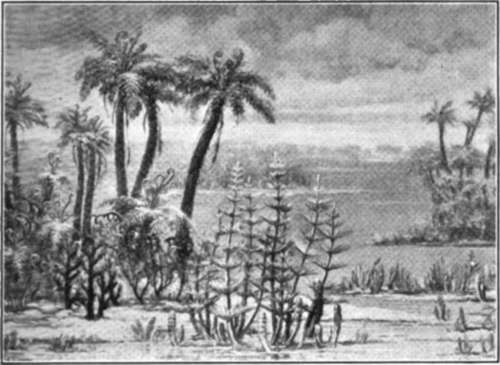 How The Landscape In Eastern America May Have Looked Before The Appalachian Mountains Were Forme