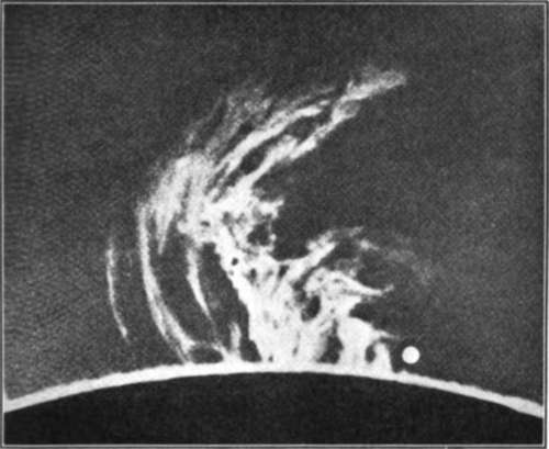 Solar Prominences