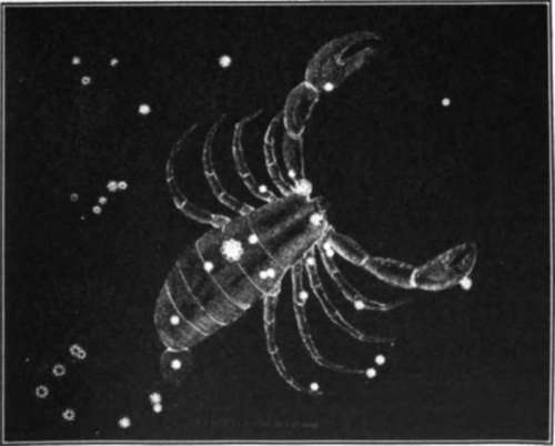 The Constellation Of Scorpio