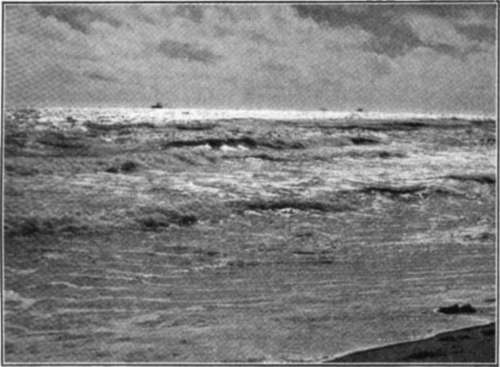 The Rhythm Of The Ocean And The Steady Beat Of The Waves