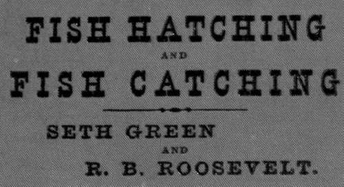 Fish Hatching, And Fish Catching Book Cover