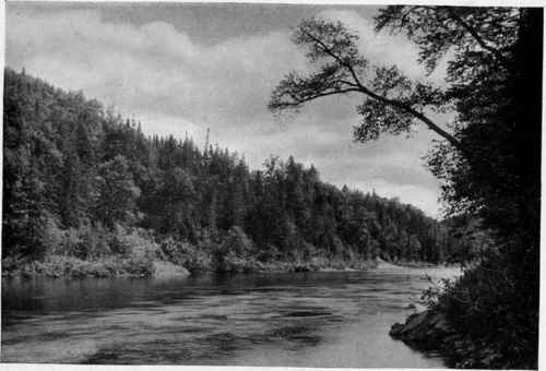 DUTHIES POOL.