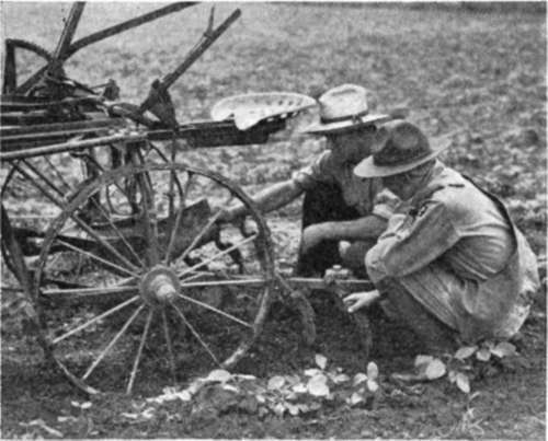 Checking The Cultivator New Jersey