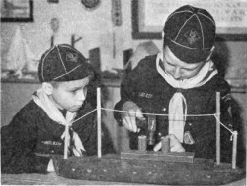 Cubs At Work