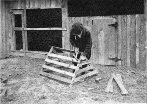 Delaware Boy Builds Chicken Coop