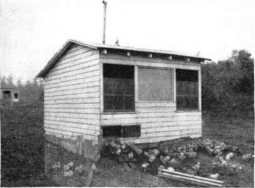 Farm Boy's Brooder House And Baby Chicks