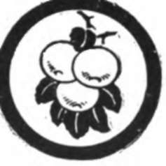 Fruit Culture