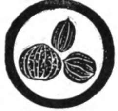 Nut Culture