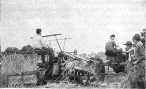 Scouts Watch Summer Harvest New Jersey