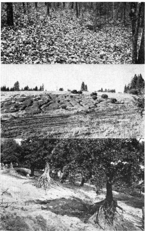 The Tragedy Of Erosion