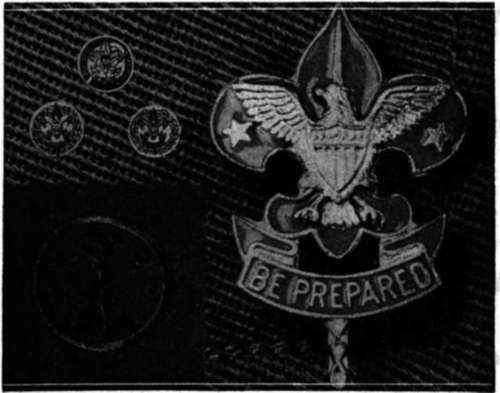Badges illustrated