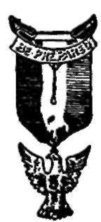 Eagle Scout